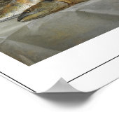 Anne Vallayer-Coster Zedign Poster d'art #2 (Coin)