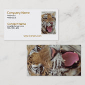 Année de carte de visite de tigre (Devant / Derrière)