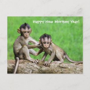 Année De La Carte Postale Fire Monkey