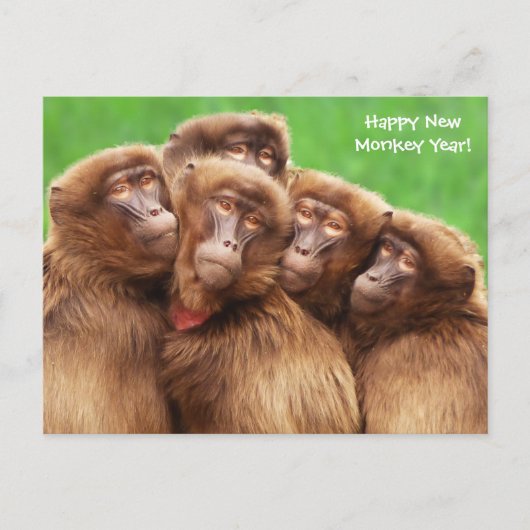 Année De La Carte Postale Fire Monkey (Devant)