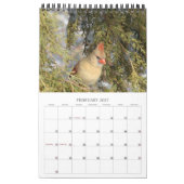 Année du calendrier des cardinaux (Feb 2027)