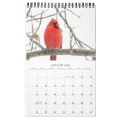 Année du calendrier des cardinaux (Jan 2026)