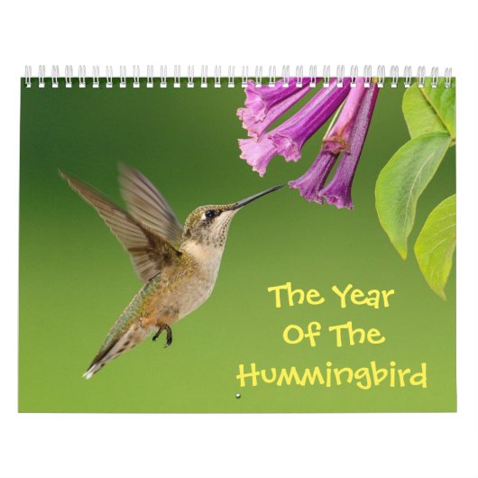 Année Du Calendrier Des Colibris (Protection)