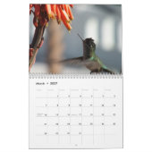 Année Du Calendrier Des Colibris (Mar 2027)