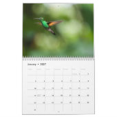 Année Du Calendrier Des Colibris (Jan 2027)