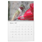 Année Du Calendrier Des Colibris (Feb 2027)