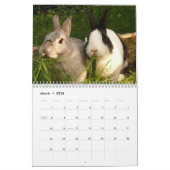 Année Du Calendrier Du Lapin (Mar 2026)