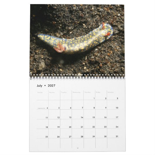 Année du calendrier Nudibranchs (Jul 2027)