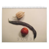 Année du calendrier Produire (Protection)