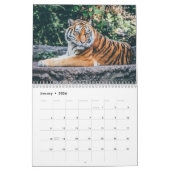 Année Du Calendrier Tigre (Jan 2026)