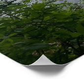 Années 80 perdues dans les bois Poster (Coin)