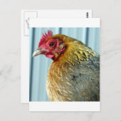 Annie Briefkaart (Voorkant / Achterkant)