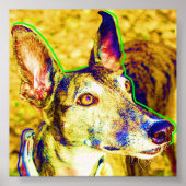 Annie Poster (Voorkant)