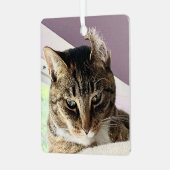 Annie's kerstversiering metalen ornament (Voorkant links)