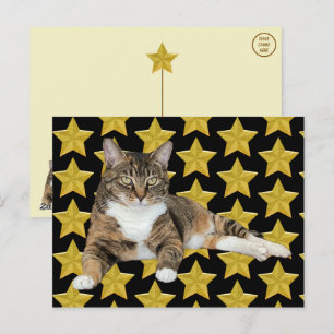 Annie's Star : Carte postale de chat