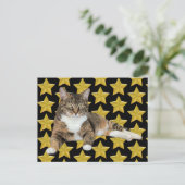 Annie's Star : Carte postale de chat (Debout devant)