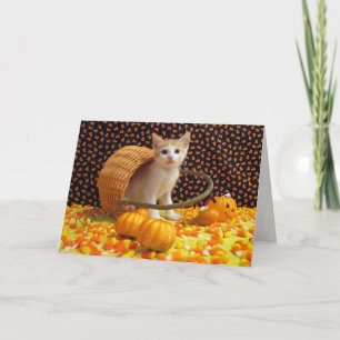 Annie's Sweet Cat/Kitten Halloween Kaart