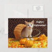 Annie's Sweet Halloween Chat / Kitten Carte postal (Devant / Derrière)