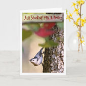 Anniversaire - carte de voeux de sittelle (Fleur jaune)