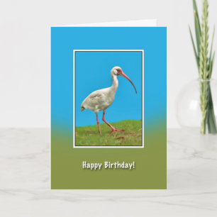 Anniversaire, Carte D'Oiseau Ibis Blanche