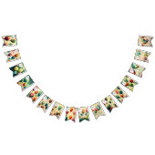 Anniversaire de Bash Bonanza : Drapeaux de Bunting (Tout)