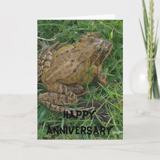 Anniversaire de la grenouille Bonne carte d'annive (Devant)