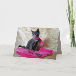 Anniversaire de la princesse Tiana - Chat / Carte 