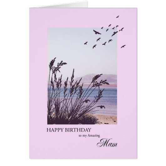 Anniversaire de Mam, scène balnéaire (Devant)