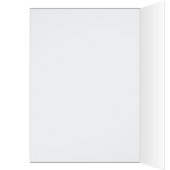 Anniversaire des colibris à bec large (Intérieur (Gauche))