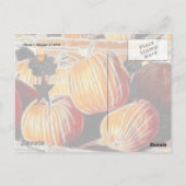 Anniversaire d'Halloween ! Carte postale (Dos)