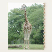 Anniversaire d'or (Dos)