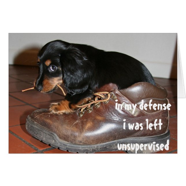 Anniversaire Drôle de chiot chien qui mâche (Devant horizontal)