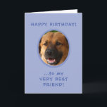 Anniversaire Drôle Du Chien Au Propriétaire Carte<br><div class="desc">Amusant Anniversaire de Chien à Propriétaire Carte photo avec punchline à l'intérieur caractéristiques photo de doggie sur le devant et texte lisant "Heureux Anniversaire à Mon Très Meilleur Ami!" À l'intérieur, il dit : "... de Ol' Yours Drooly!" Alors, "Amour" et son (ou son) nom. Il suffit de télécharger la...</div>