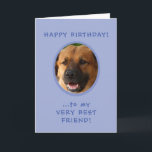 Anniversaire Drôle Du Chien Au Propriétaire Carte<br><div class="desc">Amusant Anniversaire de Chien à Propriétaire Carte photo avec punchline à l'intérieur caractéristiques photo de doggie sur le devant et texte lisant "Heureux Anniversaire à Mon Très Meilleur Ami!" À l'intérieur, il dit : "... de Ol' Yours Drooly!" Alors, "Amour" et son (ou son) nom. Il suffit de télécharger la...</div>