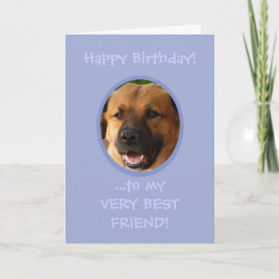 Anniversaire Drôle Du Chien Au Propriétaire Carte