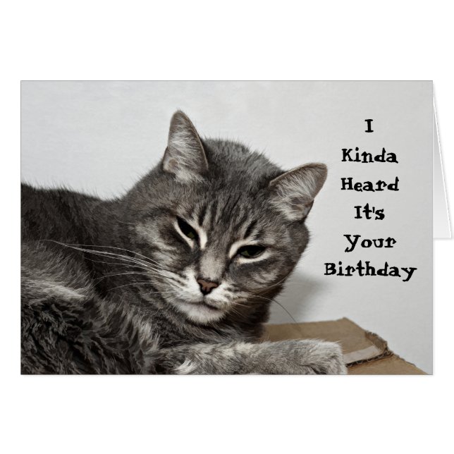 Anniversaire drôle gris de chat tigré (Devant horizontal)