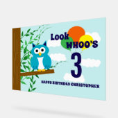 Anniversaire du hibou (Angle)