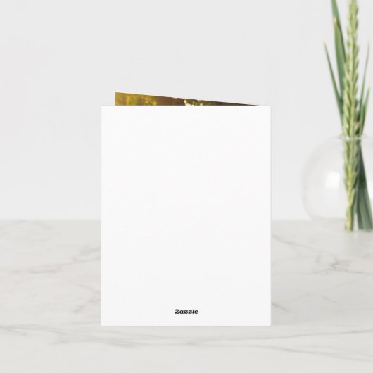 Anniversaire du thème du bug | Merci photo (Dos)