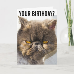 ANNIVERSAIRE GRUMPY PERSIAN CAT FUNNY Carte de voe