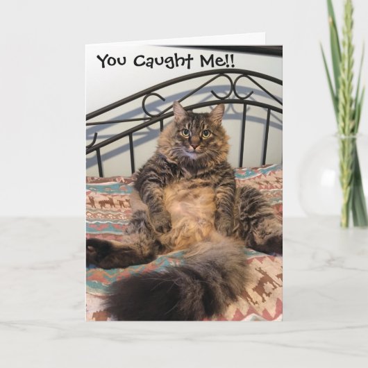 Anniversaire Hairball Kimber Chat Carte Anniversai (Devant)