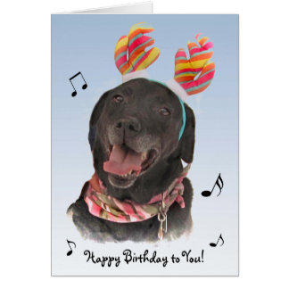  Anniversaire  Labrador  Cartes  Anniversaire  Labrador  