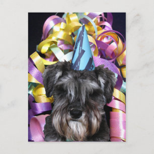 Anniversaire Schnauzer Ruban Derrière la carte pos