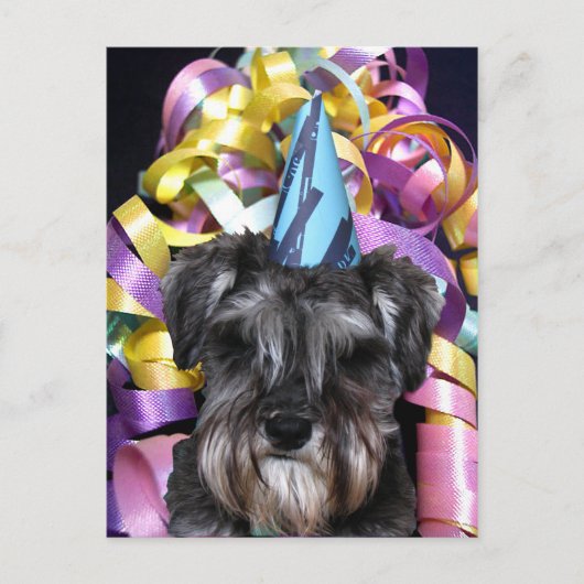 Anniversaire Schnauzer Ruban Derrière la carte pos (Devant)
