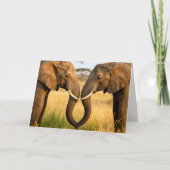 Anniversary African Elephants In Savannah Grass Kaart (Voorkant)