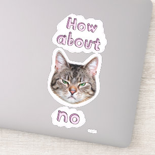 Annoyed Cat Sticker