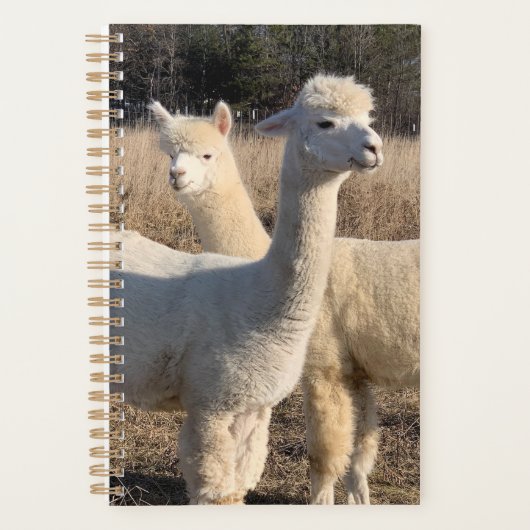 Annual Planner - Alpacas (Voorkant)
