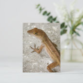 Anole #2 briefkaart (Staand voorkant)