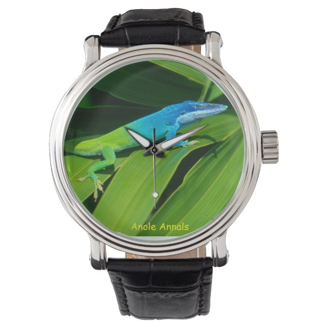 Anole Horloge: Anolis allisoni Horloge (Voorkant)