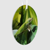 Anole Lizard  (devant)