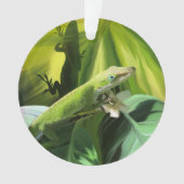 Anole Lizard (devant)